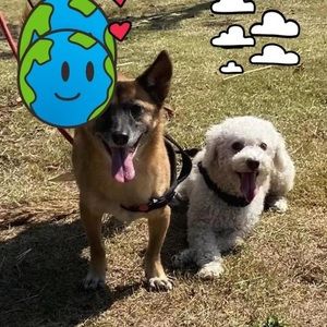 Meet your Posher, Mengyuan